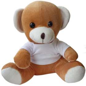 10 Inch Jay Jay Bear with T Shirt