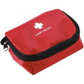 12 Piece First Aid Kit