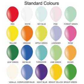 Promotional 12 Inch Balloons - extra picture