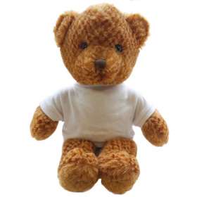 15 Inch Jango Bear with T Shirt