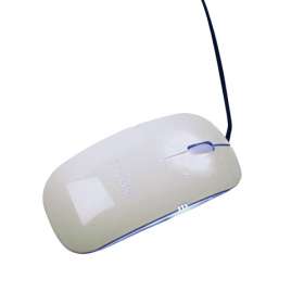 Crescent Mouse