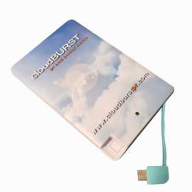 Express 2500mAh Card Power Banks