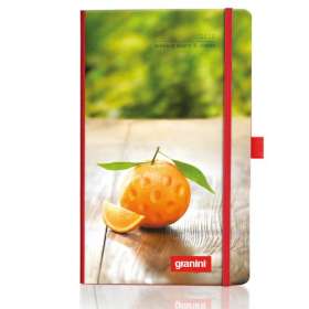 Full Colour Ivory Tucson Medium Weekly Diaries