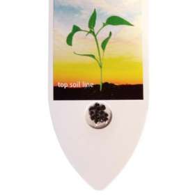 Green Card Seed Advertiser - extra picture