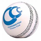 Stress Cricket Ball