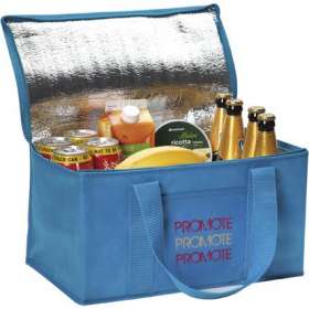 Large Fold Away Cooler Bags