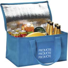 Large Fold Away Cooler Bags