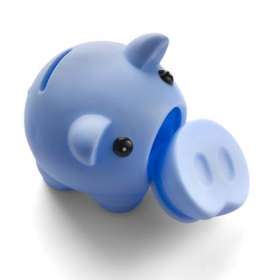 Plastic Piggy Bank - extra picture