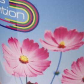 Full Colour Photo Mugs - extra picture