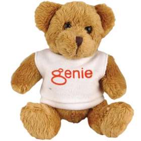 5 Inch Robbie Teddy Bears