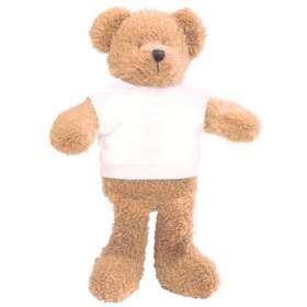 9 Inch Scraggy Teddy Bears