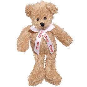 Scraggy Teddy Bears