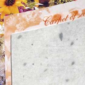 Seed Carpet - extra picture