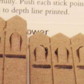 Promotional Seed Sticks - extra picture