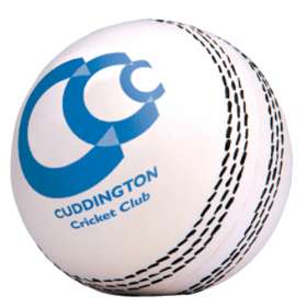 Stress Cricket Ball