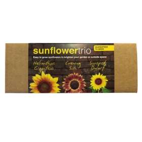 Product Image of Tiny Terracotta Garden Trio