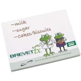 Eco Friendly Sticky Notes A7