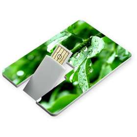 USB Flashdrive Credit Card