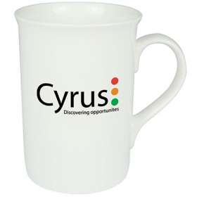 Windsor Bone China Mugs