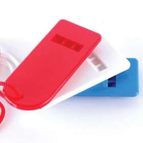 Budget Flat Whistles - extra picture