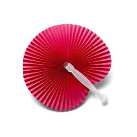 Hand Held Fan - extra picture