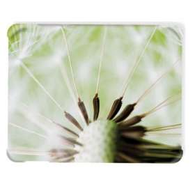 iPad Shell Cases - extra picture