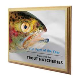 Plaque on Veneered MDF