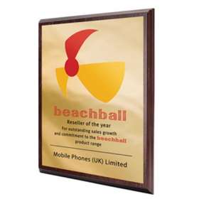 Plaque on Veneered MDF - extra picture