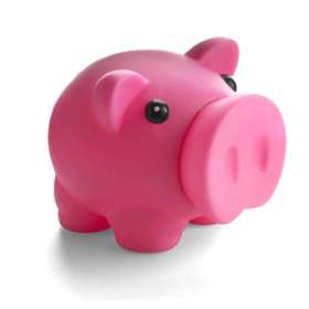 Plastic Piggy Bank - extra picture