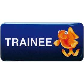 Plastic Staff Name Badges - extra picture
