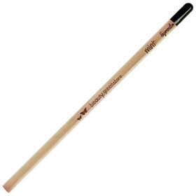 Sprout Pencils