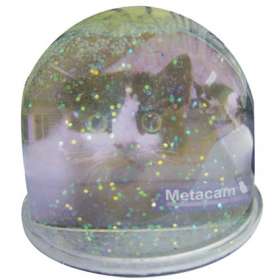 Glitter Dome - extra picture