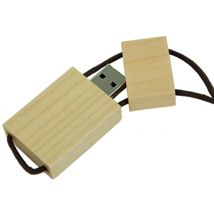 Fat Usb