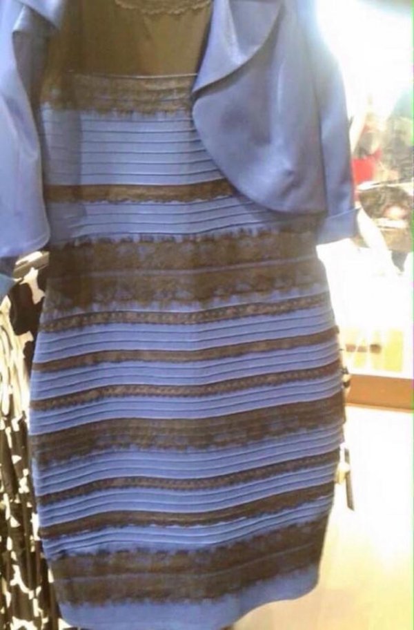 The dress that rocked the nation, is it black and blue or white and gold?