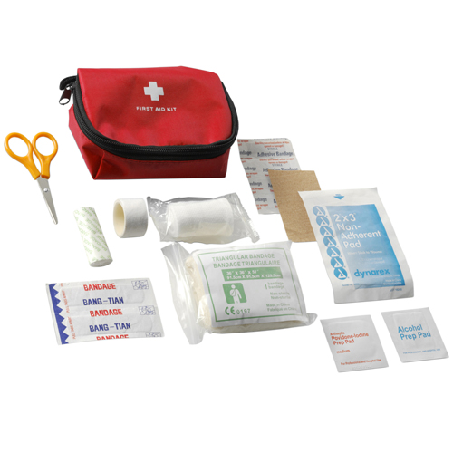 12 Piece First Aid Kit Health and Safety Printed Lip Balms