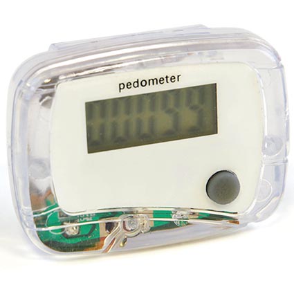 garmin clip on pedometer