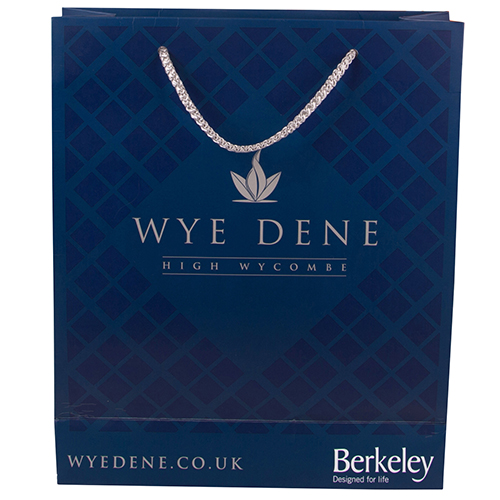 Download Medium Rope Handle Paper Bags | Promotional Bags | Printed ...