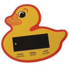 Bath Water Temperature Gauges