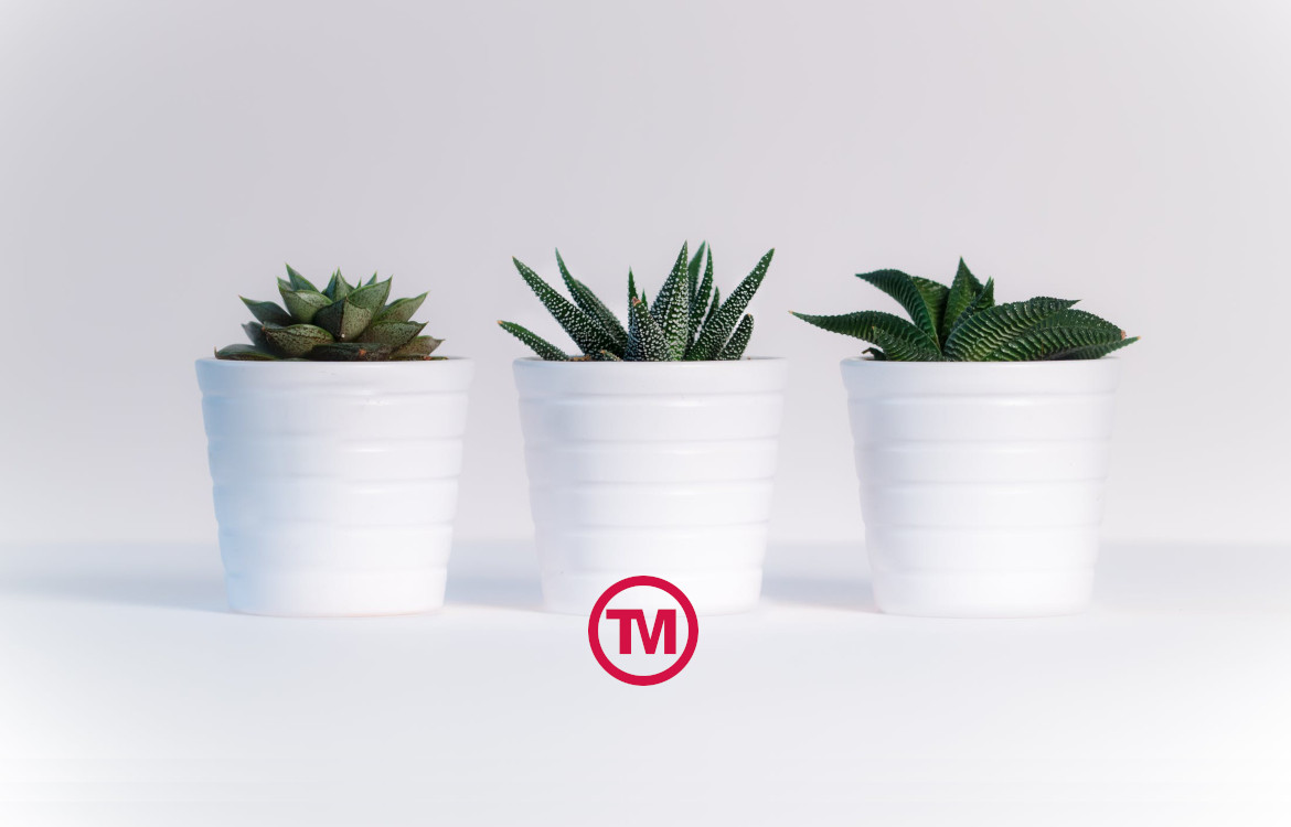 Top 5: Eco-Friendly Promotional Products That Can Make A Big Difference