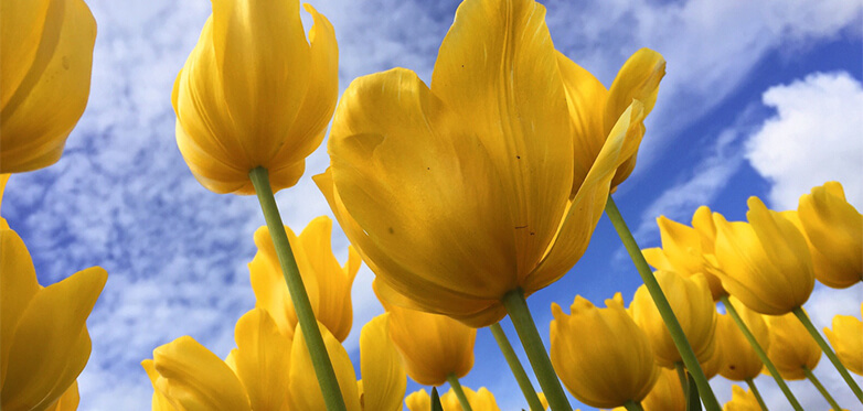 5 Ways You Can Spring Clean Your Business