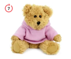 20cm Sparkie Bear with Hoody