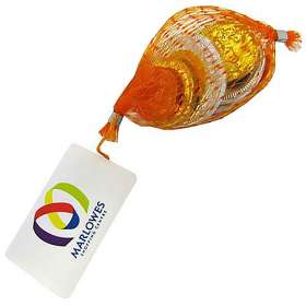 25g Chocolate Coin Nets