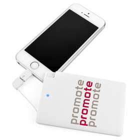 48 Hour Express Card Phone Charger