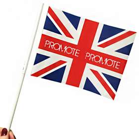 Eco Friendly Paper Hand Flags