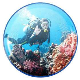 Full Colour Frisbee