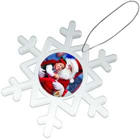 Magnetic Snowflakes