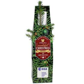 Mini Christmas Trees