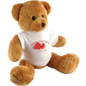Robbie Teddy Bears