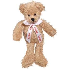 Scraggy Teddy Bears