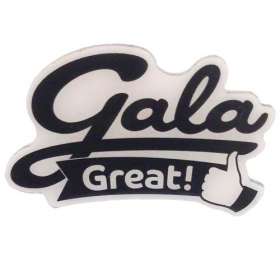 Screen Printed Metal Badges